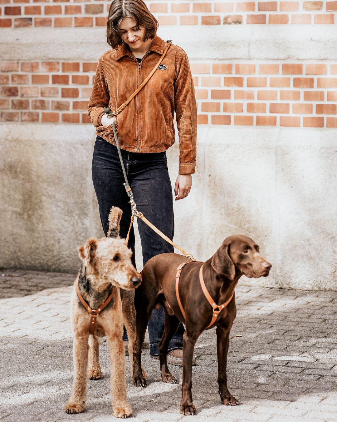 Connexion en Cuir pour 2 Chiens avec une Seule Laisse (1 Pièce)